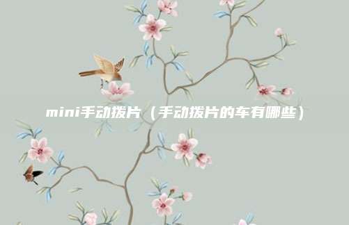 mini手动拨片(手动拨片的车有哪些)