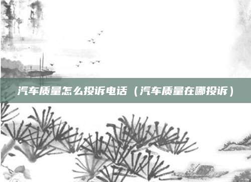 汽车质量怎么投诉电话(汽车质量在哪投诉)