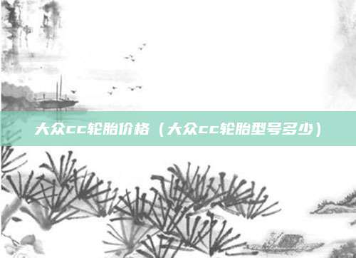 大众cc轮胎价格(大众cc轮胎型号多少)