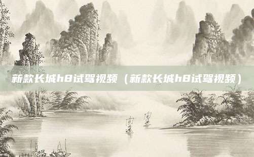 新款长城h8试驾视频(新款长城h8试驾视频)