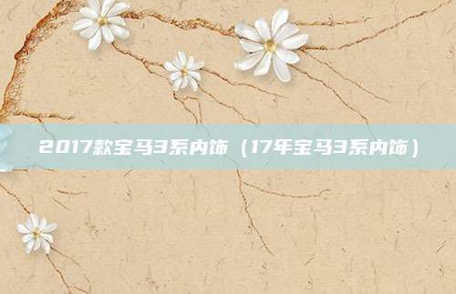 2017款宝马3系内饰(17年宝马3系内饰)