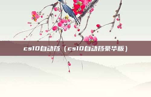 cs10自动挡(cs10自动挡豪华版)