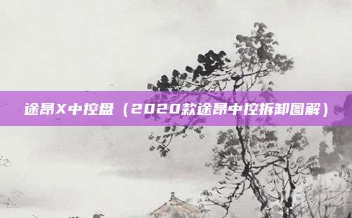 途昂X中控盘(2020款途昂中控拆卸图解)