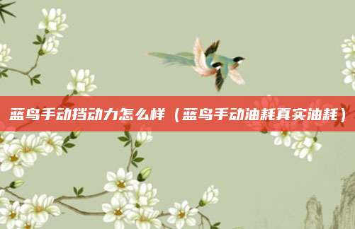 蓝鸟手动挡动力怎么样(蓝鸟手动油耗真实油耗)