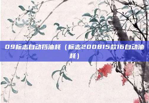 09标志自动挡油耗(标志200815款16自动油耗)