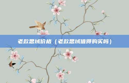 老款思域价格(老款思域值得购买吗)