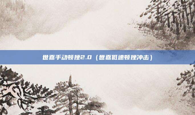 世嘉手动顿挫2.0(世嘉低速顿挫冲击)