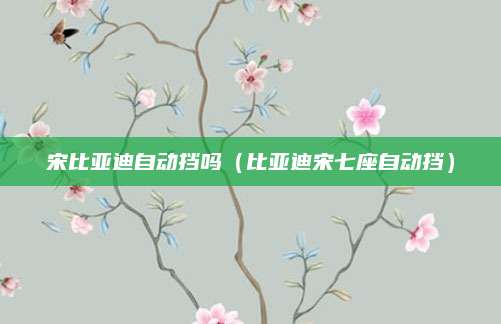 宋比亚迪自动挡吗(比亚迪宋七座自动挡)