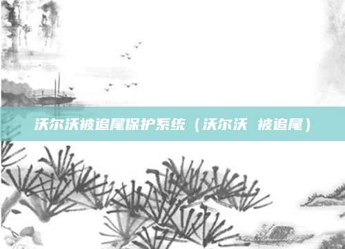 沃尔沃被追尾保护系统(沃尔沃 被追尾)