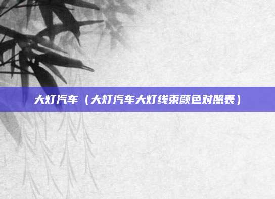 大灯汽车(大灯汽车大灯线束颜色对照表)