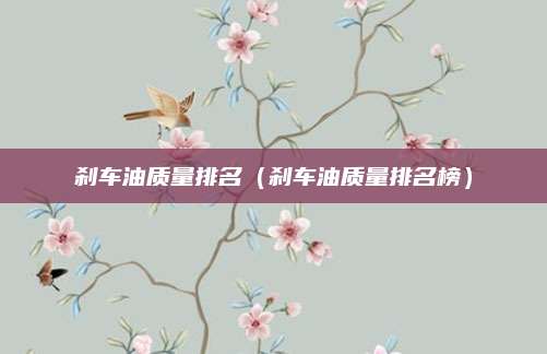 刹车油质量排名(刹车油质量排名榜)