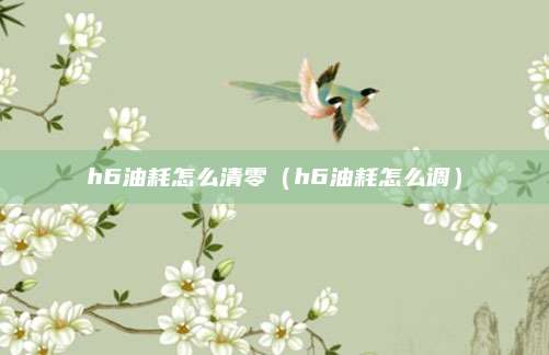h6油耗怎么清零(h6油耗怎么调)
