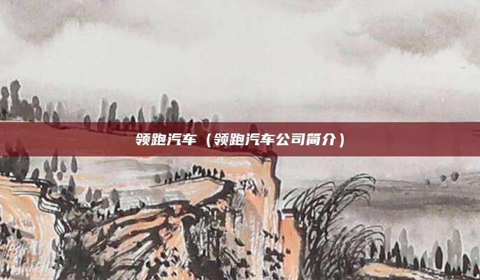 领跑汽车(领跑汽车公司简介)
