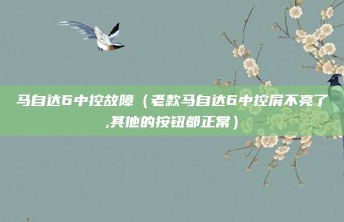 马自达6中控故障(老款马自达6中控屏不亮了,其他的按钮都正常)