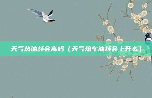 天气热油耗会高吗(天气热车油耗会上升么)