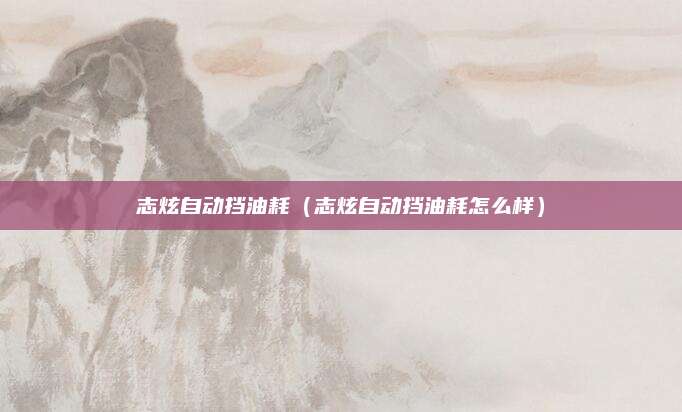 志炫自动挡油耗(志炫自动挡油耗怎么样)