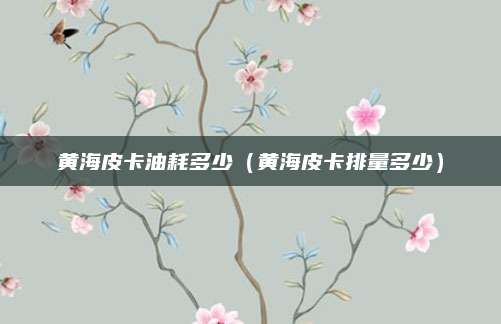 黄海皮卡油耗多少(黄海皮卡排量多少)