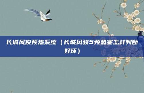 长城风俊预热系统(长城风骏5预热塞怎样判断好坏)