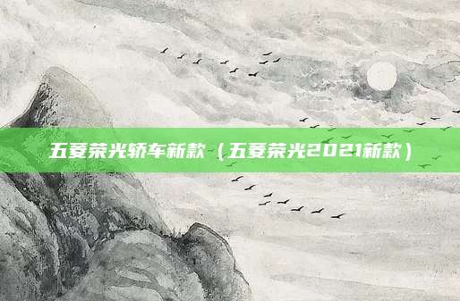 五菱荣光轿车新款(五菱荣光2021新款)
