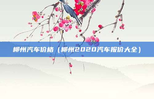 柳州汽车价格(柳州2020汽车报价大全)