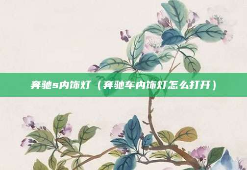 奔驰s内饰灯(奔驰车内饰灯怎么打开)