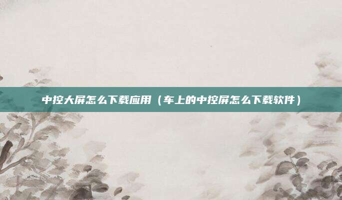 中控大屏怎么下载应用(车上的中控屏怎么下载软件)