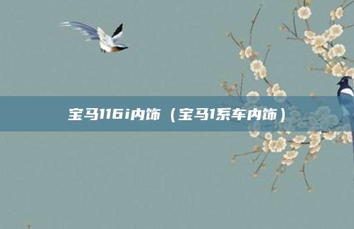 宝马116i内饰(宝马1系车内饰)