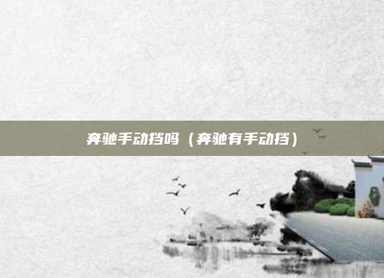 奔驰手动挡吗(奔驰有手动挡)