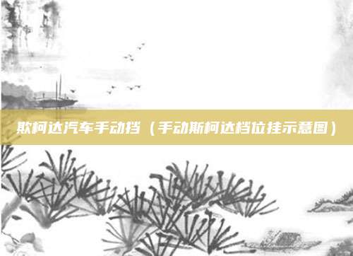欺柯达汽车手动挡(手动斯柯达档位挂示意图)