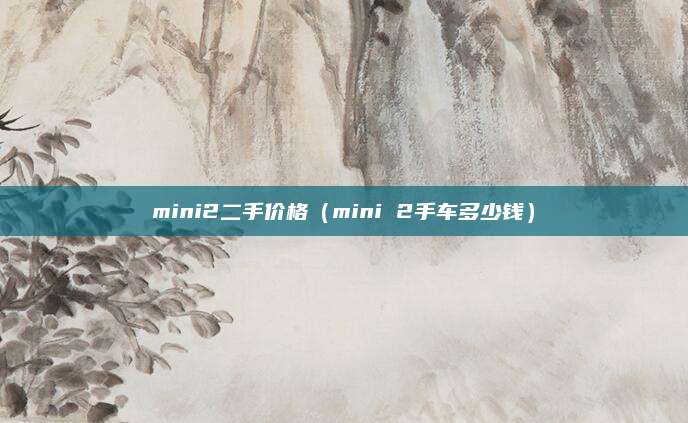 mini2二手价格(mini 2手车多少钱)