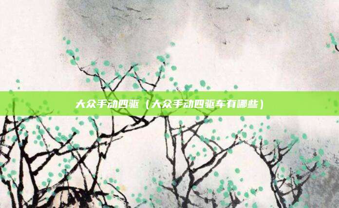 大众手动四驱(大众手动四驱车有哪些)