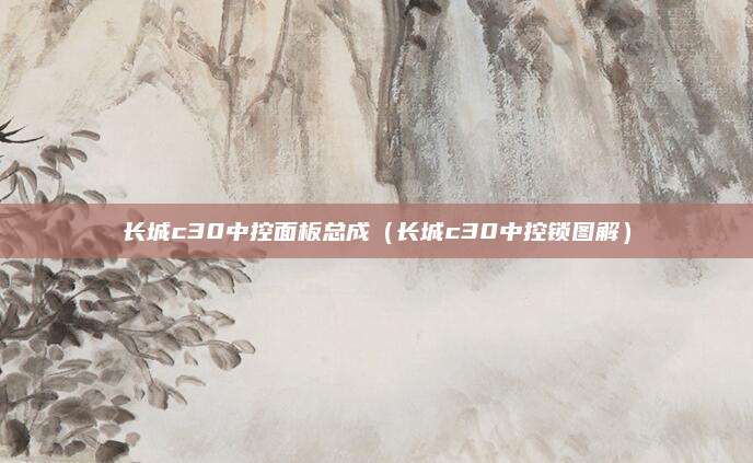 长城c30中控面板总成(长城c30中控锁图解)