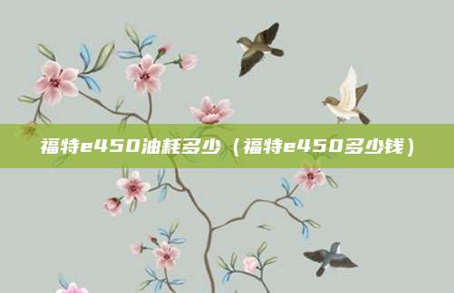 福特e450油耗多少(福特e450多少钱)