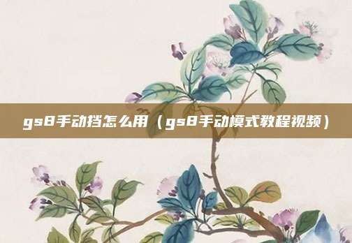 gs8手动挡怎么用(gs8手动模式教程视频)