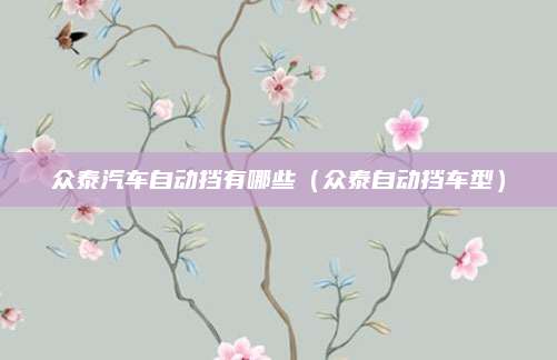 众泰汽车自动挡有哪些（众泰自动挡车型）