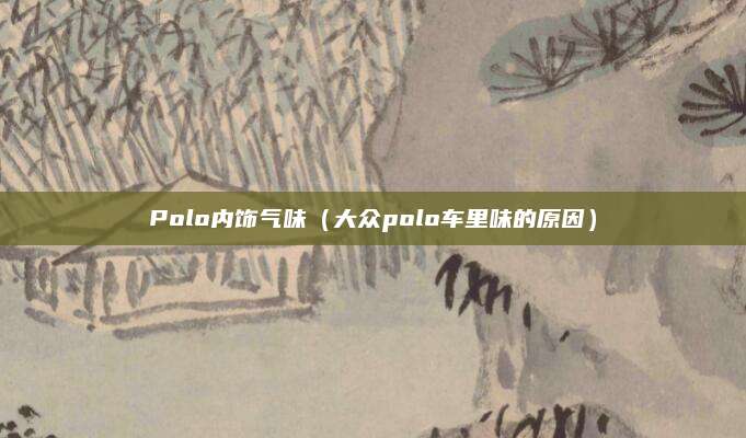 Polo内饰气味(大众polo车里味的原因)