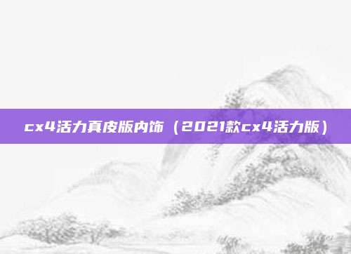 cx4活力真皮版内饰(2021款cx4活力版)