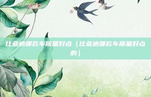 比亚迪哪款车质量好点(比亚迪哪款车质量好点的)