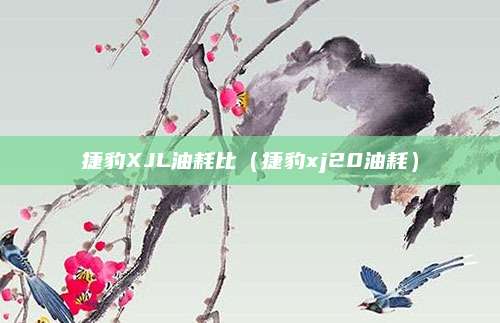 捷豹XJL油耗比(捷豹xj20油耗)