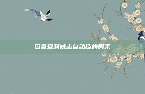 包含夏利威志自动挡的词条