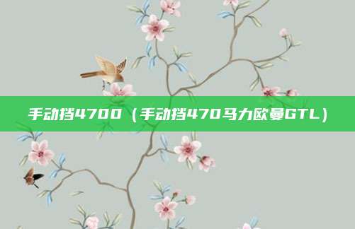 手动挡4700(手动挡470马力欧曼GTL)