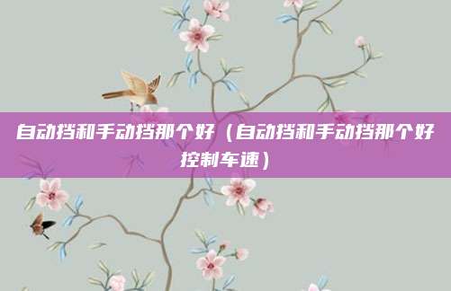 自动挡和手动挡那个好(自动挡和手动挡那个好控制车速)