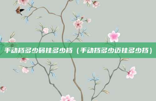 手动档多少码挂多少档(手动挡多少迈挂多少挡)