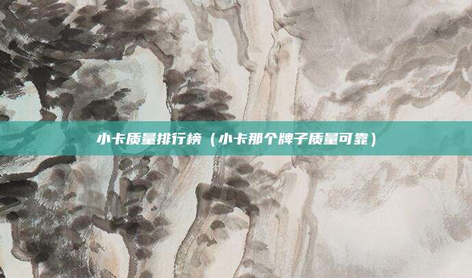 小卡质量排行榜(小卡那个牌子质量可靠)