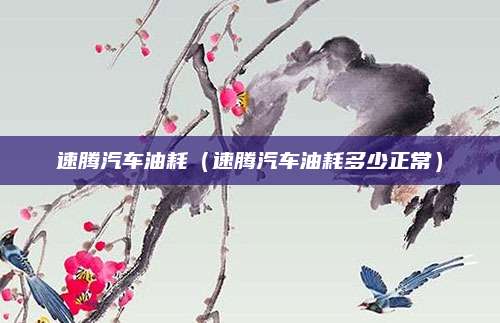 速腾汽车油耗(速腾汽车油耗多少正常)