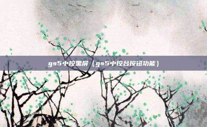 gs5中控黑屏(gs5中控台按钮功能)