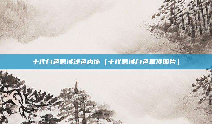 十代白色思域浅色内饰(十代思域白色黑顶图片)