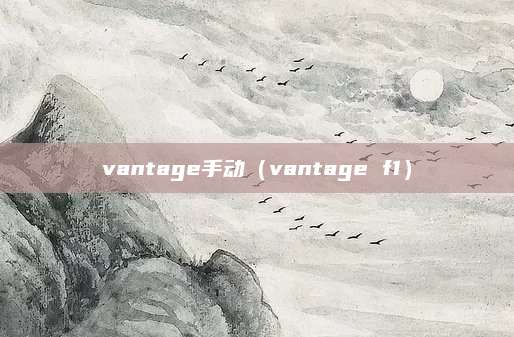 vantage手动(vantage f1)