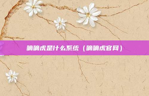 嘀嘀虎是什么系统(嘀嘀虎官网)