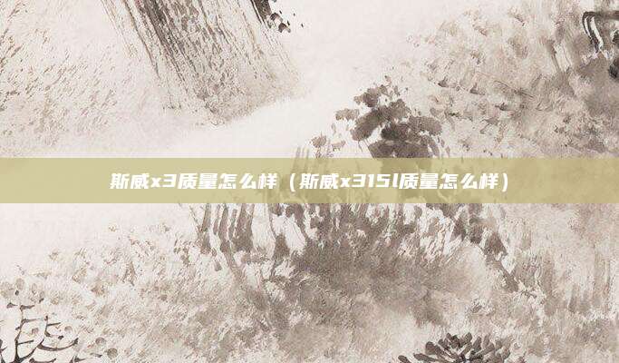 斯威x3质量怎么样(斯威x315l质量怎么样)